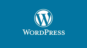 WordPress: A Comprehensive Platform for Professional Website Management and Development